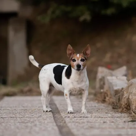 Feriehus Casa Paola *