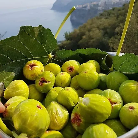 Casa Paola Feriehus *